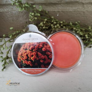 Goose creek Blooming Harvest wax melts