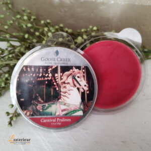 Goose creek Carnival Pralines wax melts