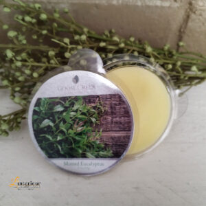 Goose creek Minted Eucalyptus Wax melts