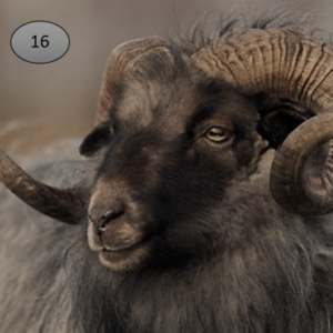 Onderzetter-ram