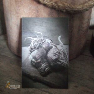 cadeaukaartje bloembollen