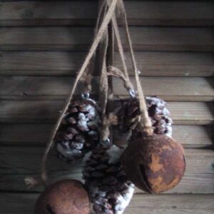 Hanger bellen en dennenappels