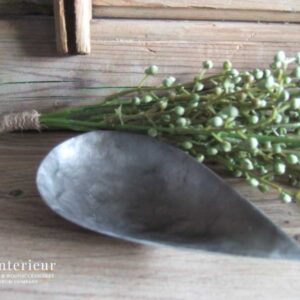 Schaaltje capiz schelp