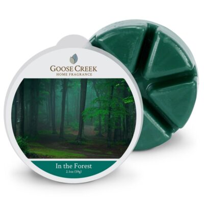 Goose Creek in the forest