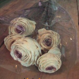 Bosje-beauty-rose-kunst