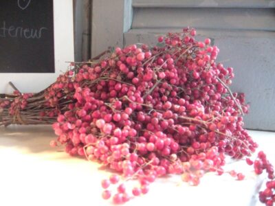 Bunch of dried pepperberries