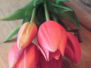Strauß Tulpen rosa 25 cm