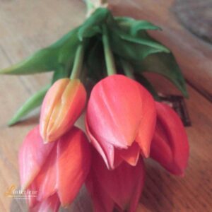 Bosje tulpen pink 25 cm