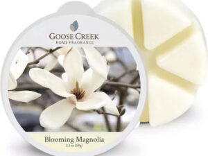 Goose creek Blooming Magnolia wax melts