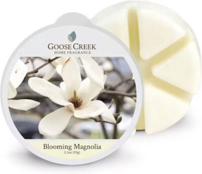 Goose creek Blooming Magnolia wax melts