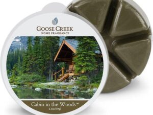 Goose creek Cabin in the woods