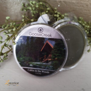 Goose creek Cabin in the woods