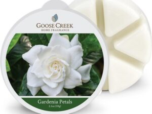 Goose creek gardenia petals