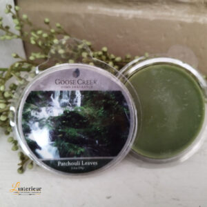 Goose creek patchouli leaves