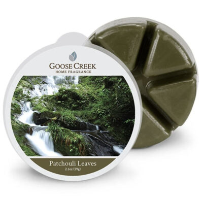 Goose creek patchouli leaves