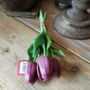 Bosje tulpen aubergine 30 cm