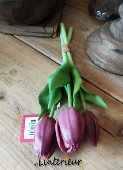 Bosje tulpen aubergine 30 cm