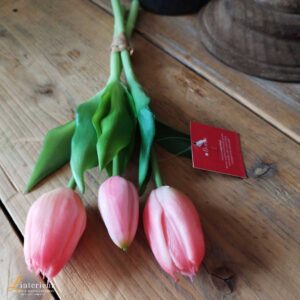 Bosje tulpen beauty 30 cm