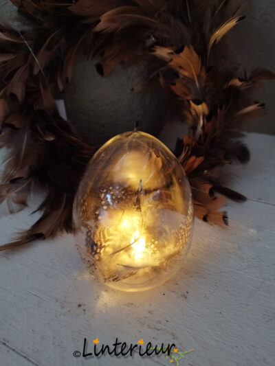 Led eitje met veertjes