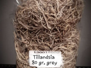 Zakje tillandsia