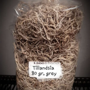Zakje tillandsia
