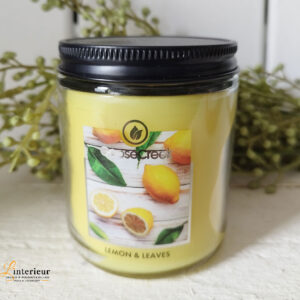 Goose creek lemon and leaves jar