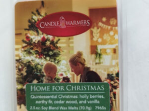 Candle warmers wax melts home for christmas