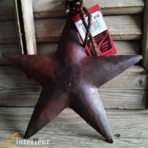 Metalen ster rusty