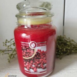 Goose Creek cranberry jar