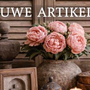 Neue Artikel