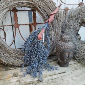 Decoratieve Dadeltak Blauw